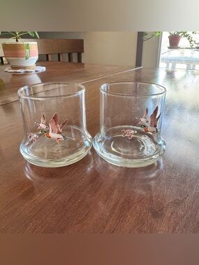 Set of 2 Clear Glass Tumblers with Flying Duck Motif